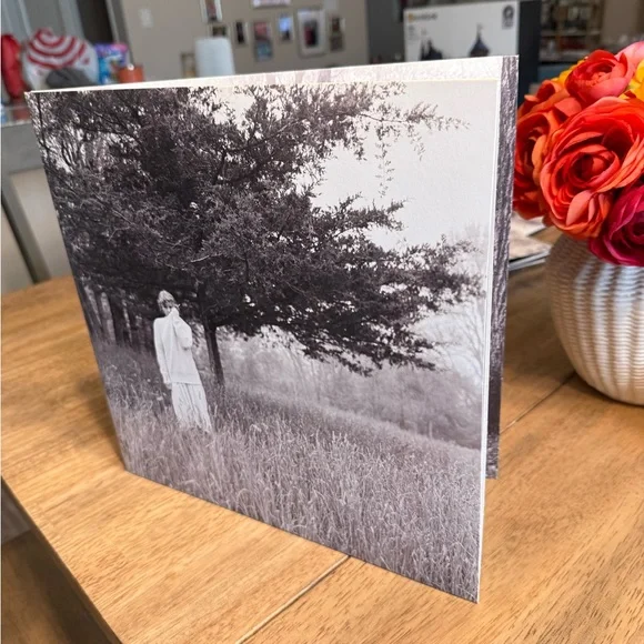 Taylor Swift "Hide - And - Seek" Limited Edition Folklore Vinyl - Picture 7 of 7